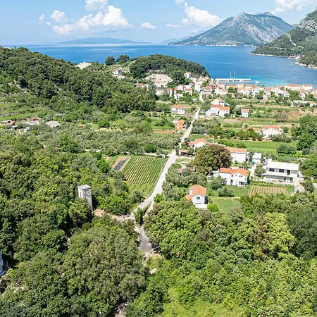 Amazing In With Wifi דירה Žuljana